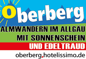 erfolgreiche mini-inserate